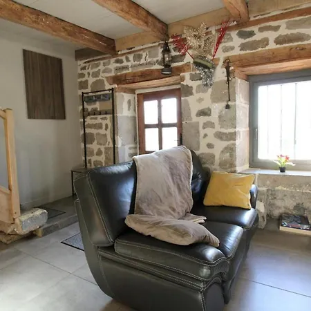 Maison De Caractere Au Coeur Des Volcans D'auvergne, Terrasse, Cheminee, Animaux Acceptes - Fr-1-742-534 Saint-Clément