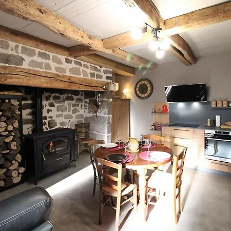 Vakantiehuis Maison De Caractere Au Coeur Des Volcans D'auvergne, Terrasse, Cheminee, Animaux Acceptes - Fr-1-742-534