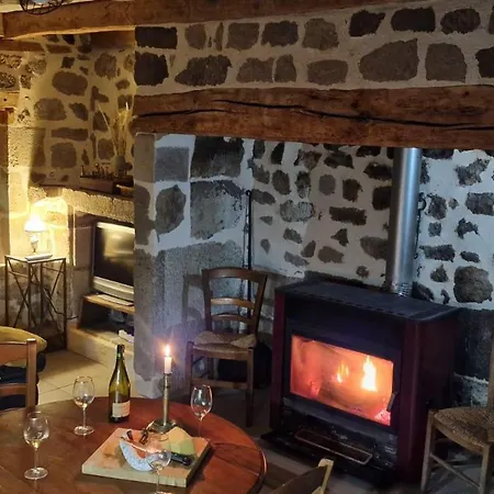 Maison De Caractere Au Coeur Des Volcans D'auvergne, Terrasse, Cheminee, Animaux Acceptes - Fr-1-742-534 Vakantiehuis *